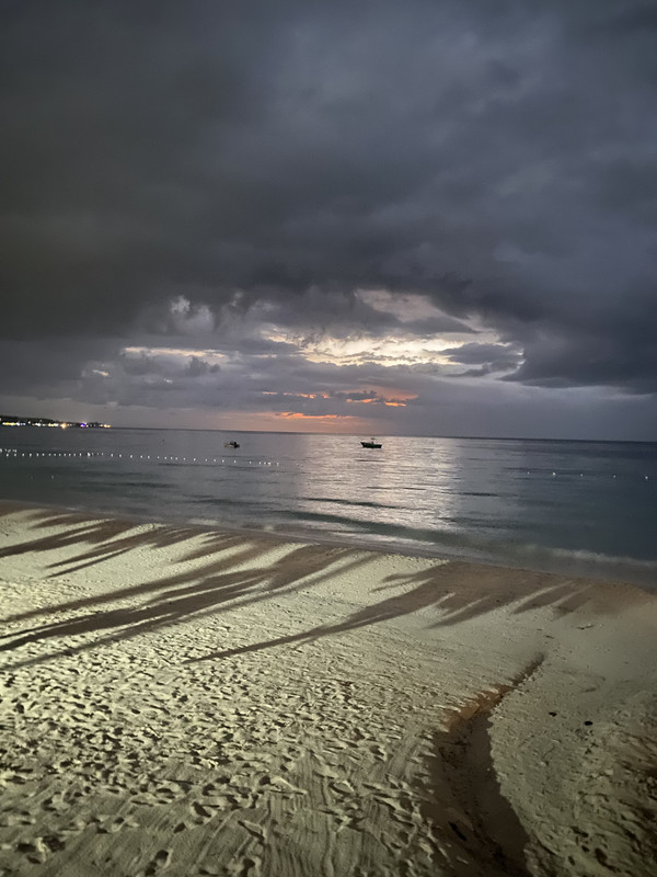 3F6BC671-917C-4082-BA41-107DBB12C0B2