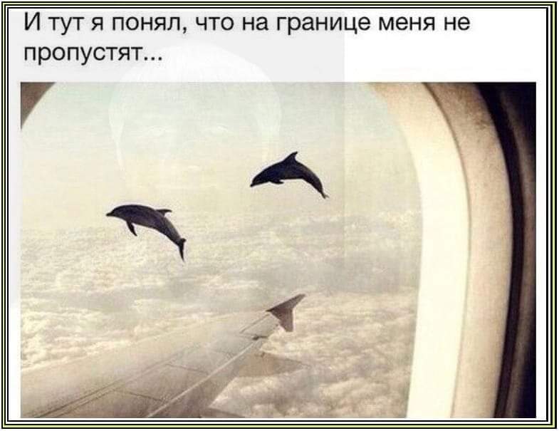 274148542_1527274920988778_3805735473625576498_n