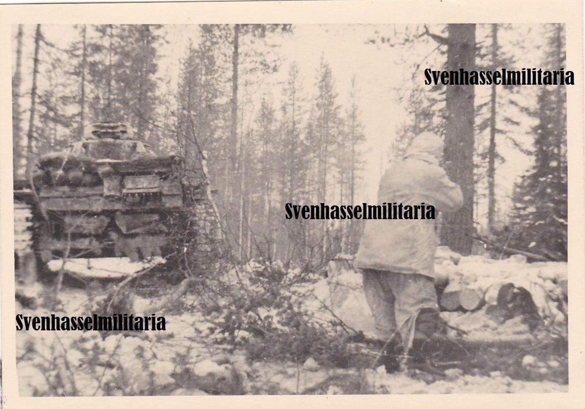 Gebirgsjäger Elitedivision 6 Nordfront Stug Panzer Tank   Camo E