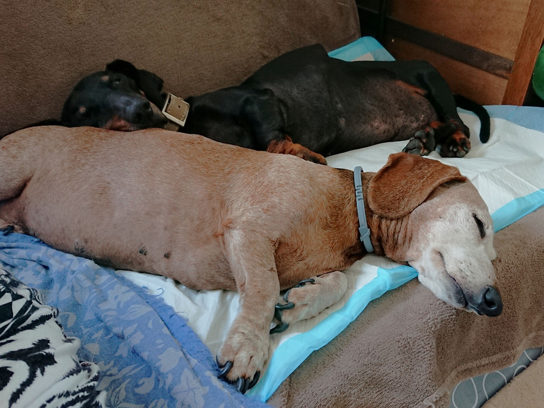 [Image: DSC-0753.jpg]