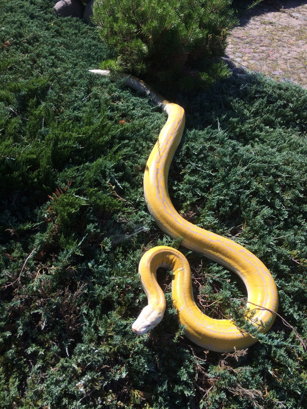 D0E302E0-0F37-4407-BABC-3776C211829F