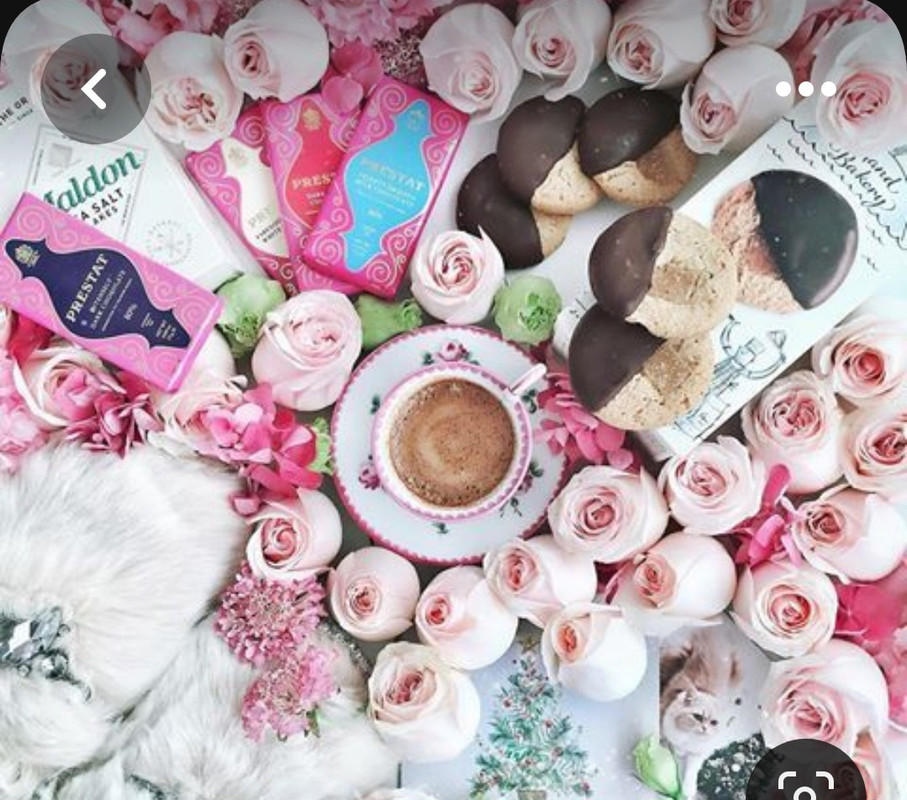 Screenshot_20230528_225517_Pinterest