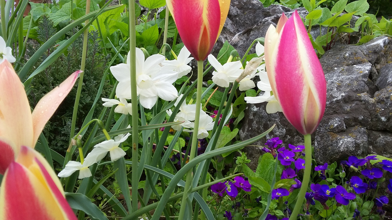 20190420_131629