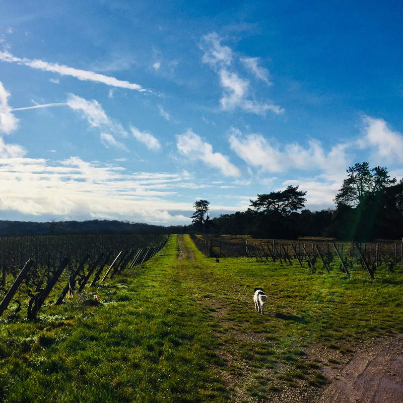 98DD08F3-55D5-40E1-ACA7-28FCB1A1E21E