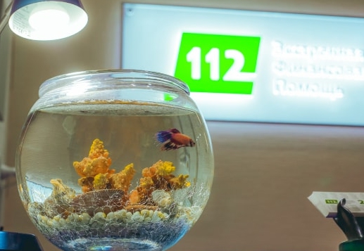 Срочный выкуп недвижимости