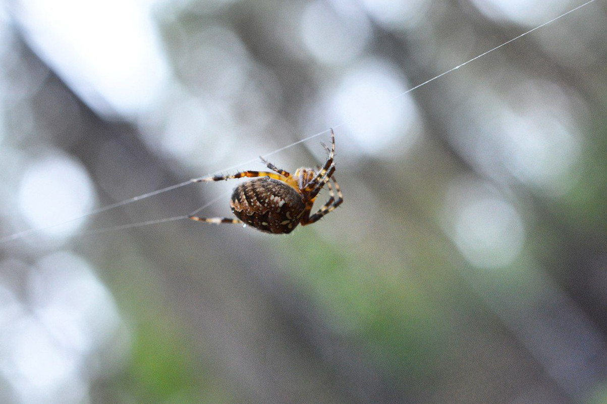 IMG_20220921_160232_350