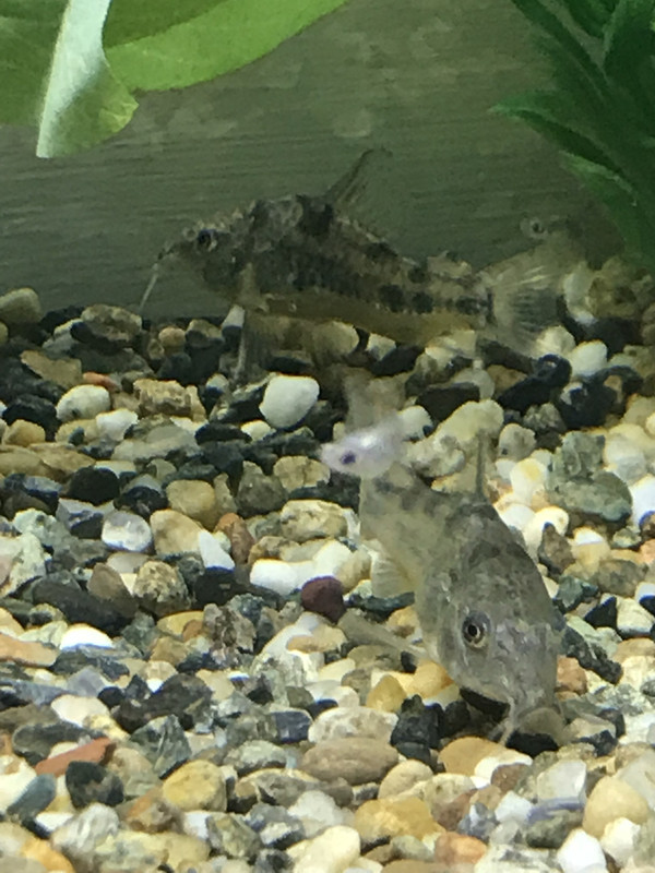 8FC0752B-920E-4C5C-81BF-4569FBCD51D9