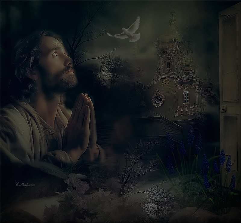 43cdf6820120d8b85d573d751265dd73-tom-mison-beautiful-love