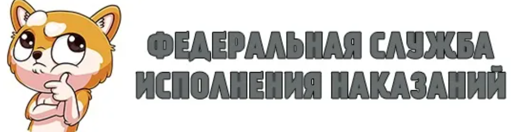 Заявление на лидера ФСИН. Заявление на пост лидера ФСИН. ФСИН для форума. ФСИН радмир.