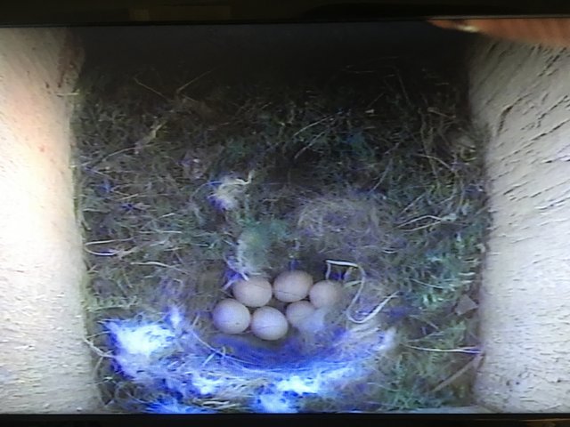 EFAD87C5-1CD0-4AC7-AB23-80C149DA5726