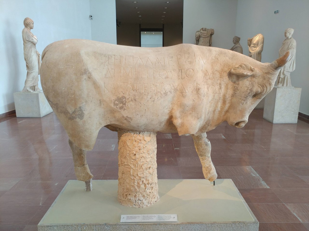 20220616-112019-HDR.jpg
