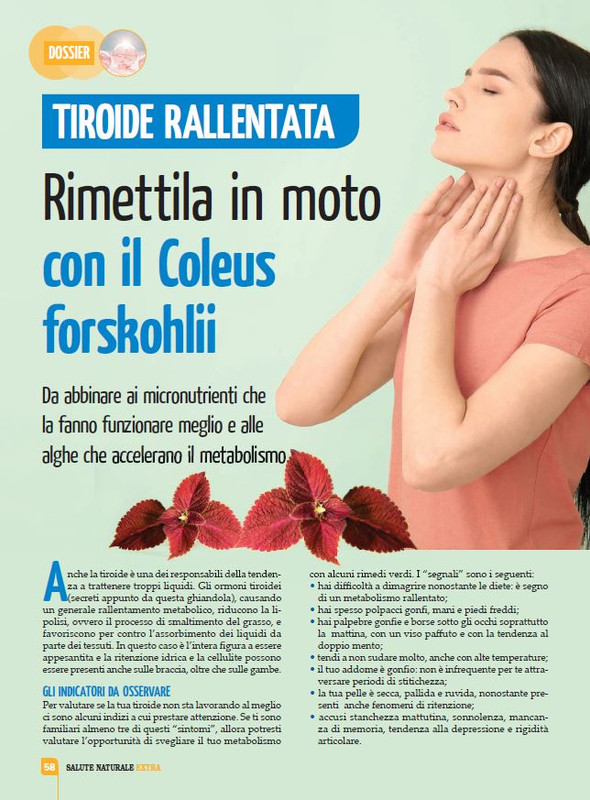 Sal Nat Ext Giu-Lug 2022 (7)