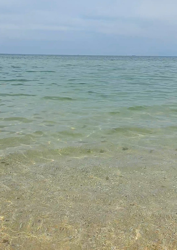 Screenshot_20250530_172142_Gallery