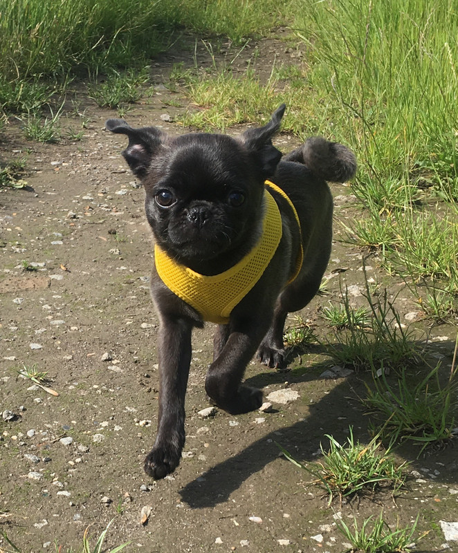 9276F850-BEEB-4591-AD2D-84D4F33FAB79