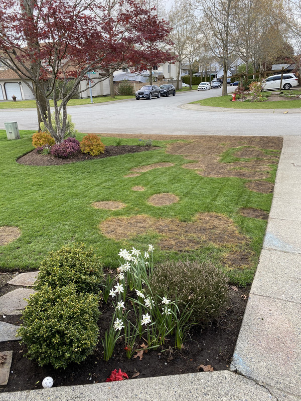 BFB6004D-506C-4F7C-BB41-E91A51BBAC12