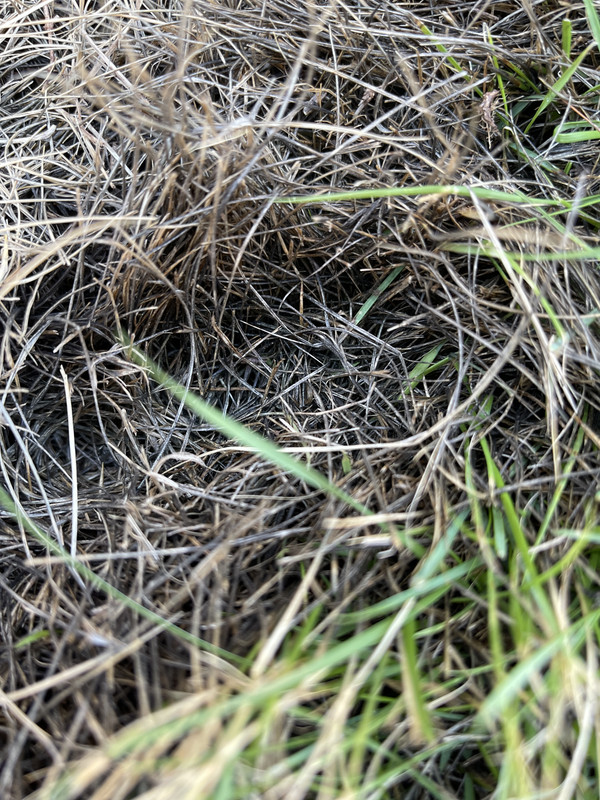 969C0419-D4C1-451D-AD01-83BE2DC7D9A5