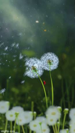 ���� ���� ������ �� ���� ������