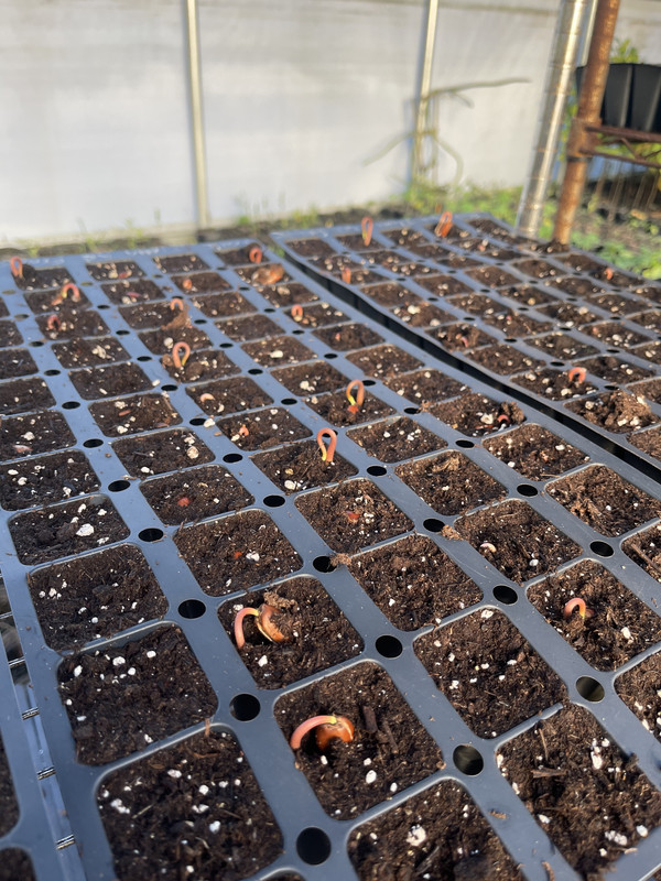 445C502C-D74C-4A4B-989F-0012961D05F2