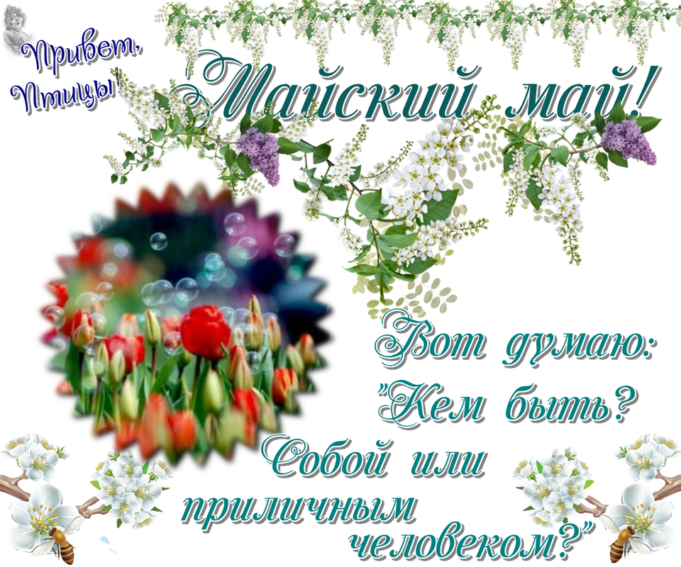 https://i.postimg.cc/YqNWZBd2/07-05.png