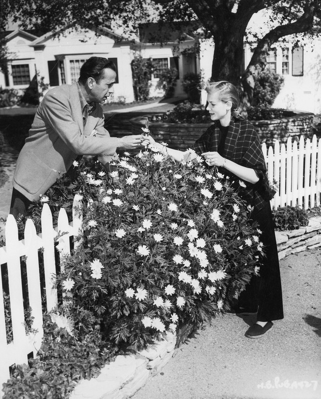 Lauren_Bacall_b86