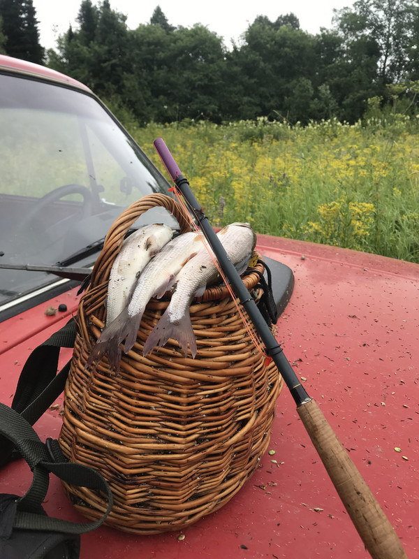 E597F412-A96D-409F-BE7C-A674522129F9