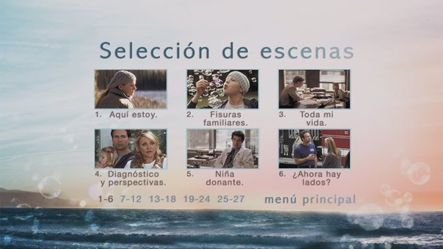 3 - La Decisión de Anne [Pal][Cast/Ing/Cat][Sub:Varios][Drama][2009]