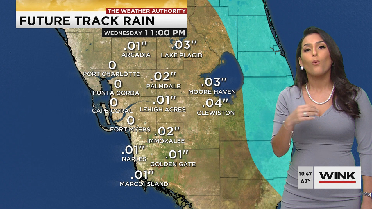 01.21 - 15.00.00 - WINK News at 10 00AM..ts_snapshot_00.53.09.736