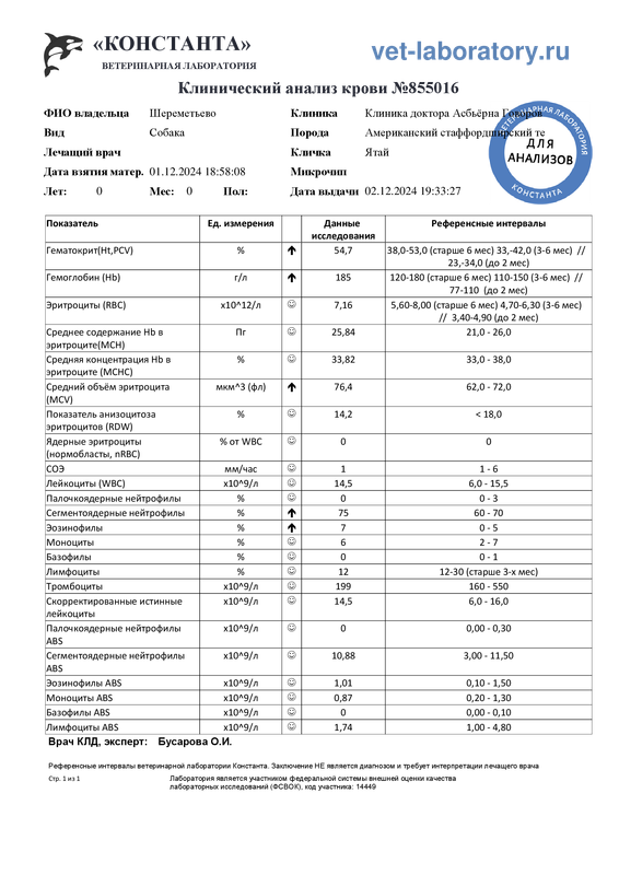 Клинический анализ крови (855016)