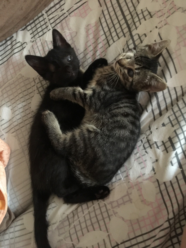 47425484-E689-4FD5-B307-0702EBA34639