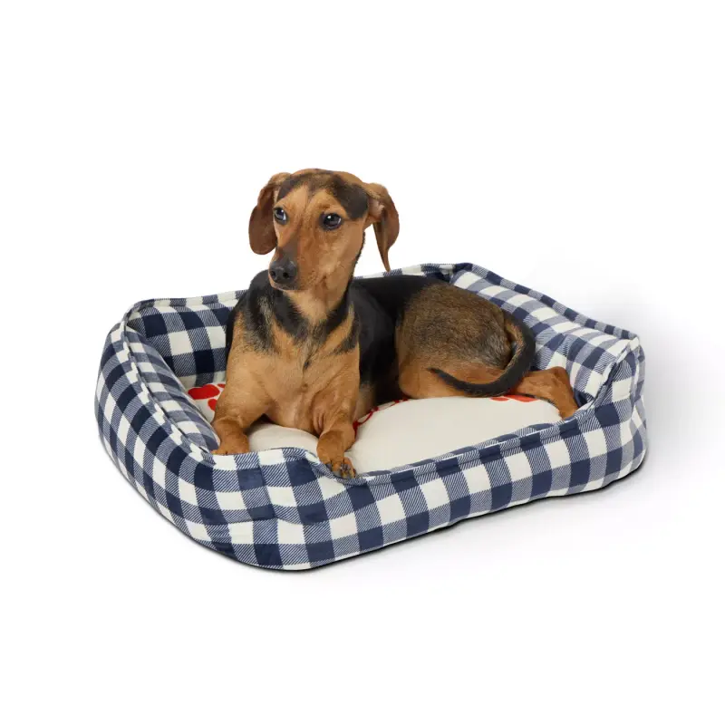 Best PetSmart Pet Beds: Affordable Comfort for Your Furry Friends Best PetSmart Pet Beds: Affordable Comfort for Your Furry Friends