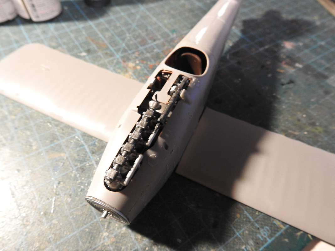 Albatross D.I - Roden 1/32 - Sida 2 DSCN0636