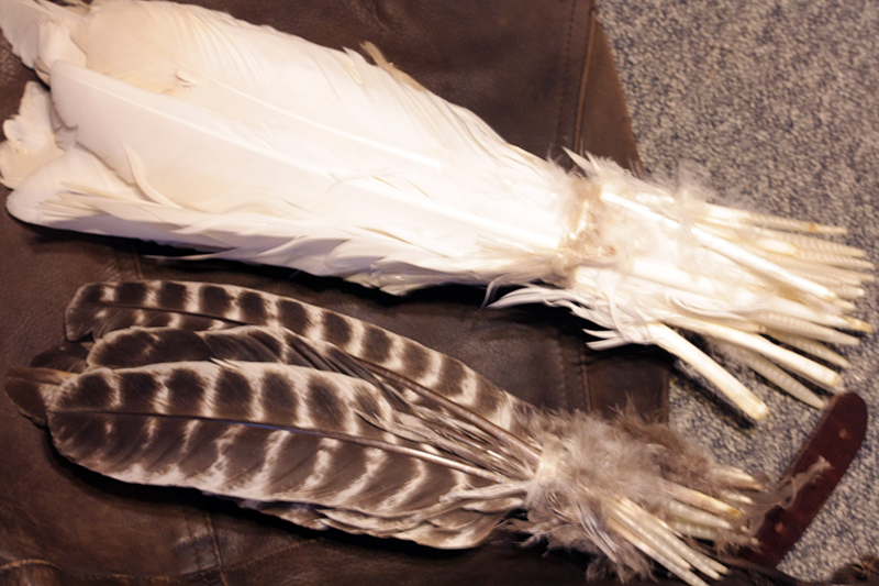 перья