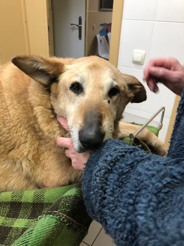 1C296B84-693C-42A9-9247-85145BBFD0F8