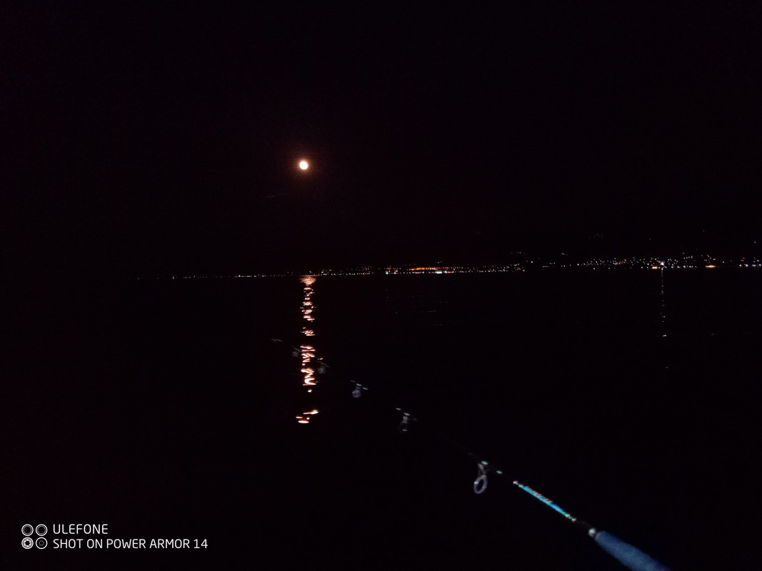 IMG_20220615_235108_319(1)