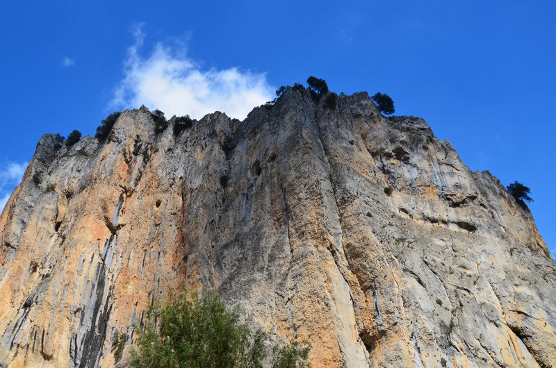 RUTA RIO BOROSA-12-3-2016-JAEN - Paseando por España-1991/2016 (124)
