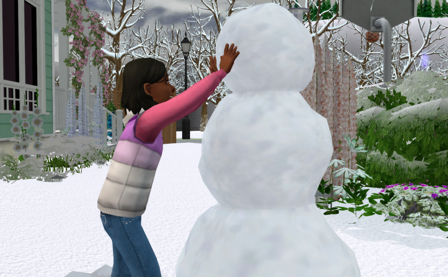 Sims2-EP9-RPC-2021-05-20-21-32-53-66