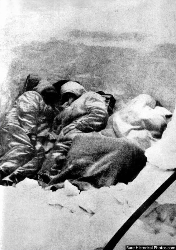 German_at_Stalingrad_defeated (4)