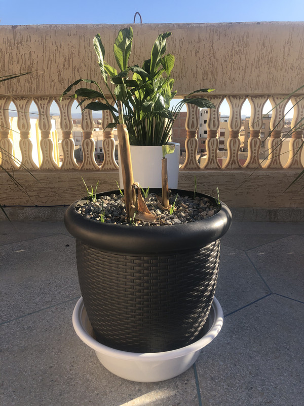 5AB7024D-C654-4ED8-8998-04CA137467D5