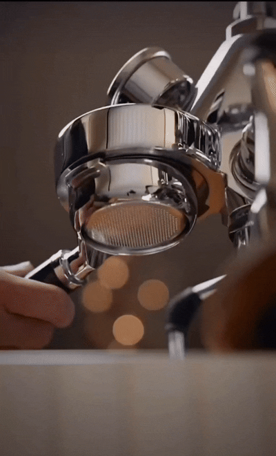 animation.gif