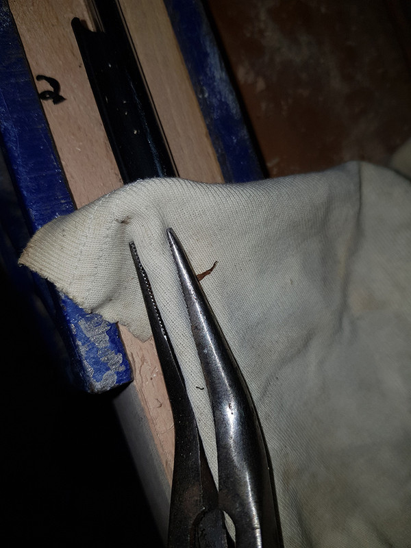 5AA1F700-B095-4C70-91E8-935B8F222D4E