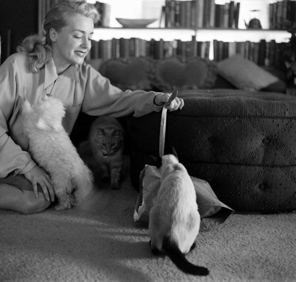 tumblr-l7b2cfz-HNU1qaxihzo1-1280