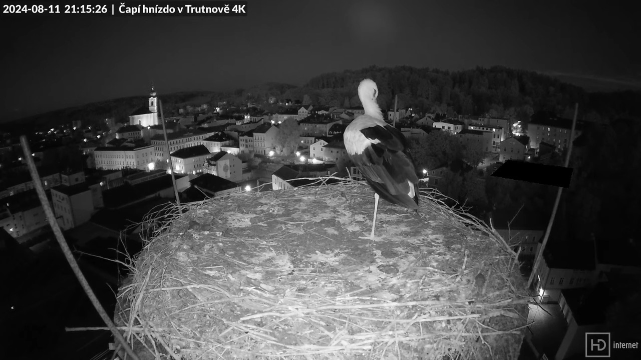 Tiešraidē no stārķa ligzdas uz alus darītavas skursteņa Trutnovā 14-51-44 screenshot
