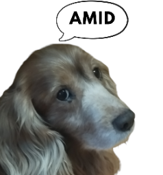 AMIDCOIN 