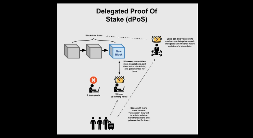 article content image