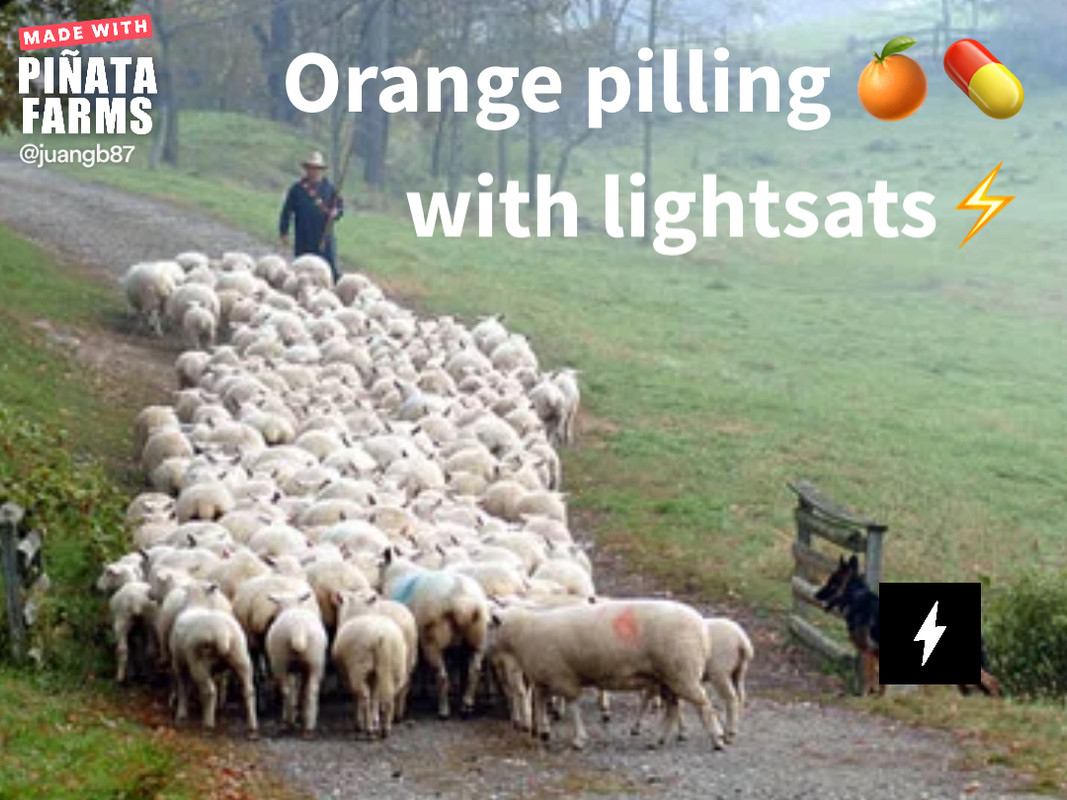 B1E576FB-1A50-4273-9CED-48BC1D602C51