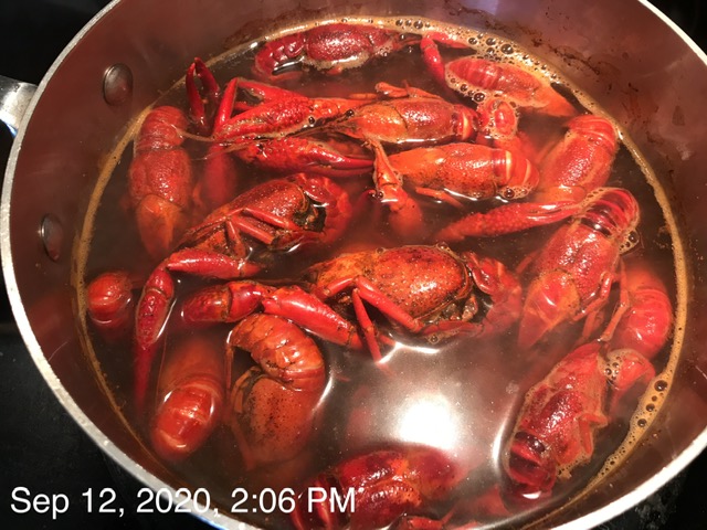 [Image: IMG-1171.jpg]