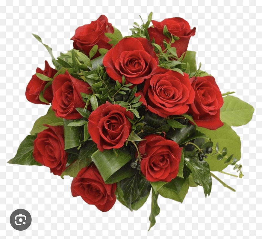 BUCHET 11 TRANDAFIRI ROSII/ASPIDISTRA/SALAL