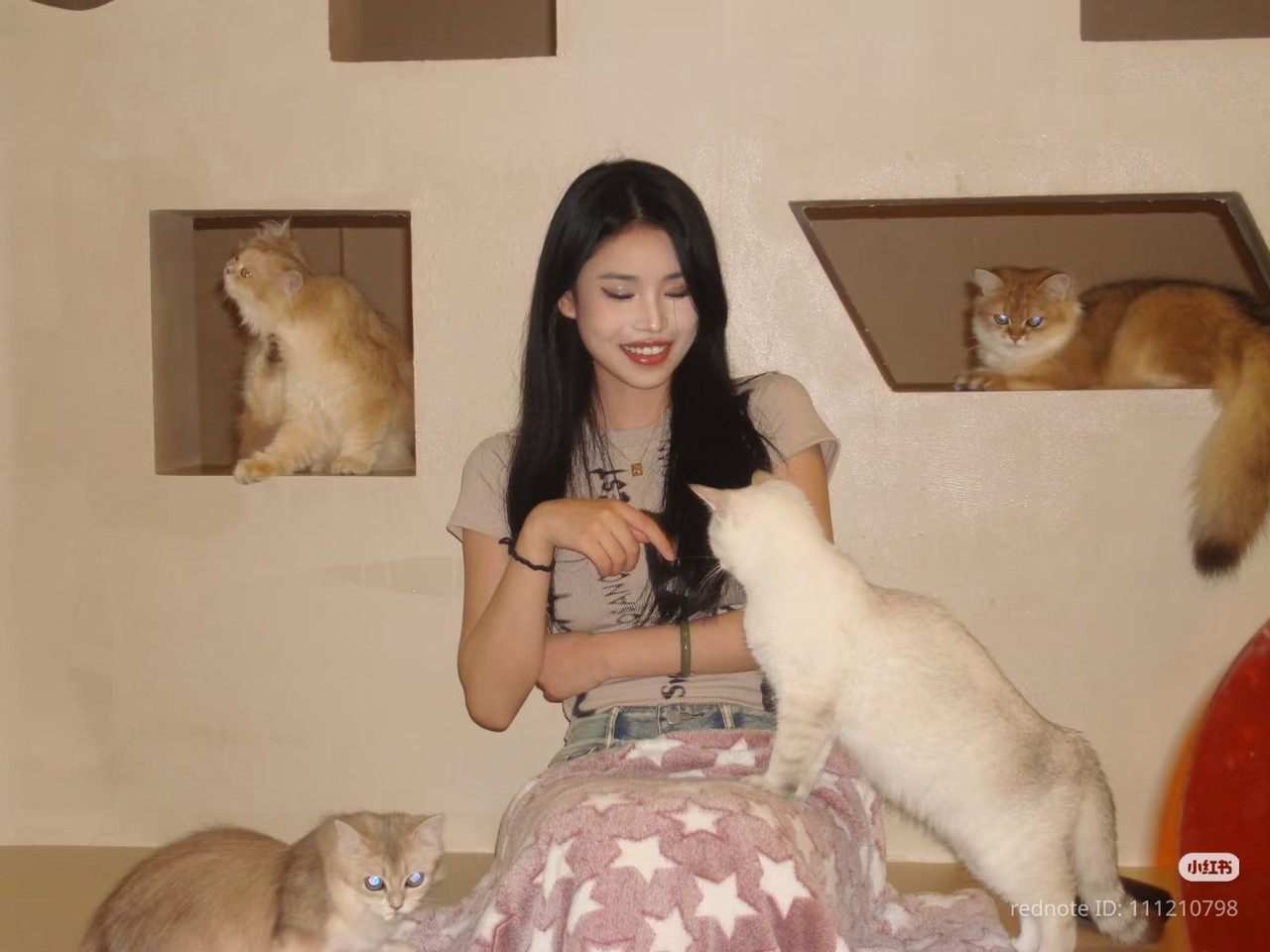 photo 7 2025 12 14 22 34 27