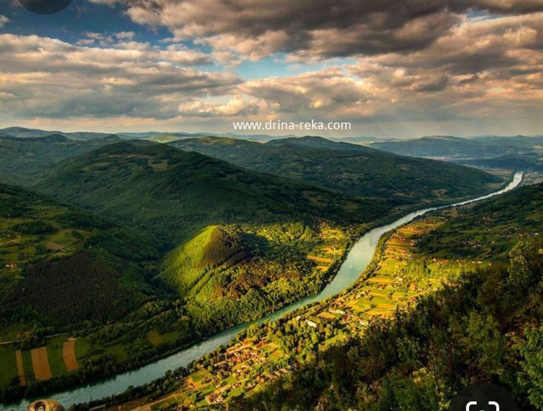 Screenshot_20231119_095215_Pinterest