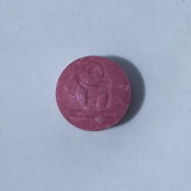 [Imagen: photo-2-2024-12-04-21-13-38.jpg]